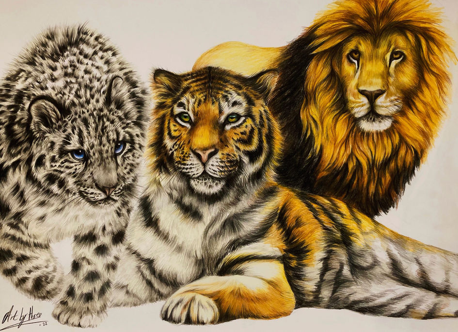 Three  big cats. A Lion, a tiger and a snow leopard
