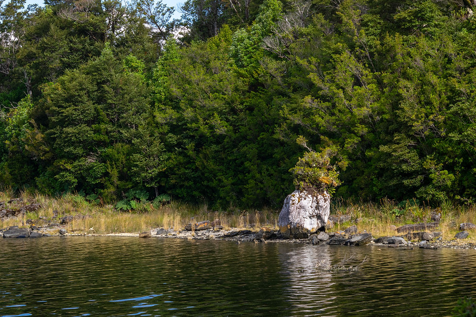 DSC_0253.jpg