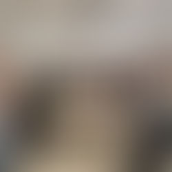 Option langue des signes Année 2024-2025