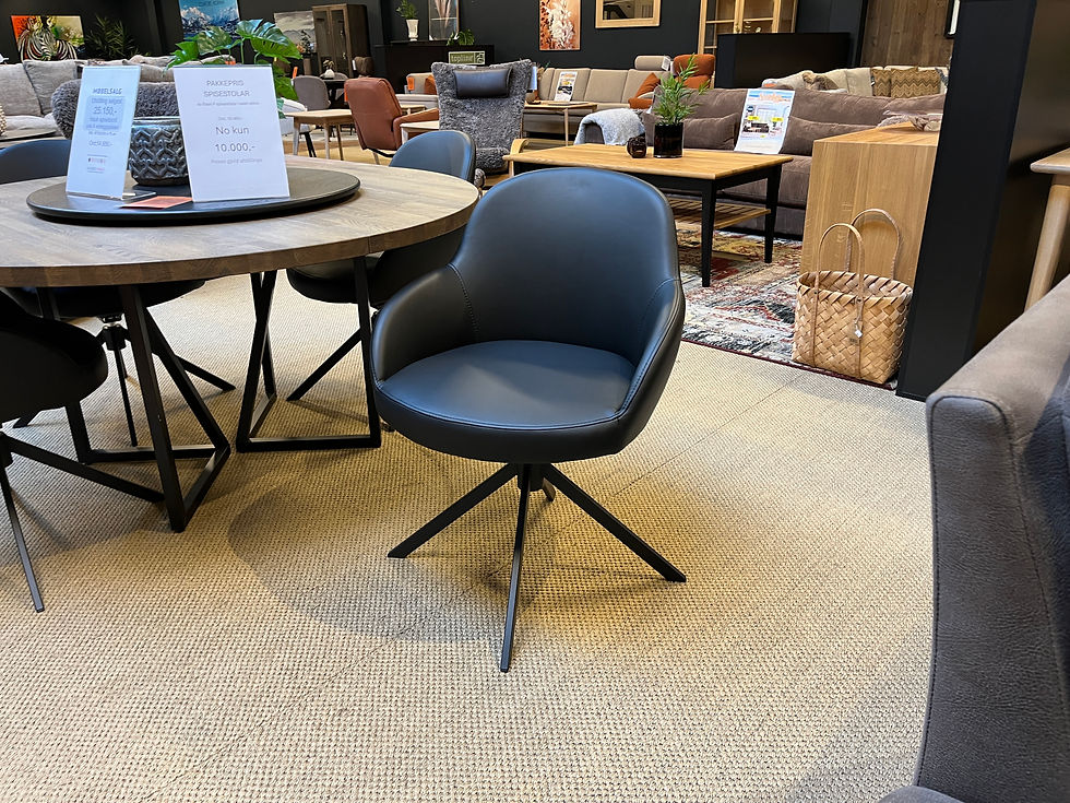 4x Ravn spisestolar med sving