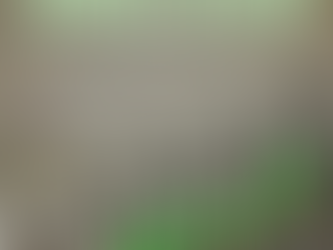 5 Houses to Freedom: Invest in What Pays You ๐ ๐ฐ