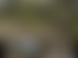 🌲New Listing Alert 🚨.34 AC Land - Eagle Rock Resort - Hazelton PA