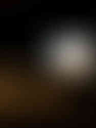 TV Screen of Irish archaeology findings