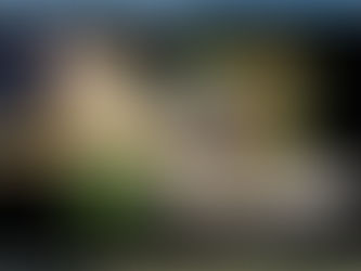 TU Dublin MA Graduate Exhibition: Introducing the Artists: Eden Munroe & Ger O'Brien