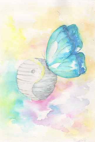 Illustration Papillon Cocon Nelly ajustee 2.jpg