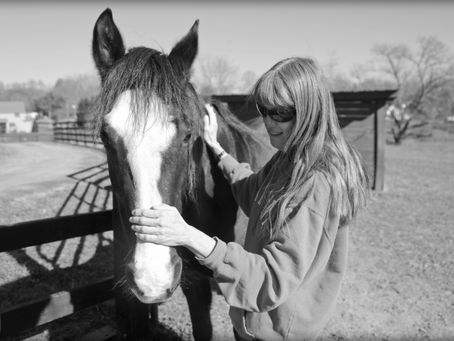 Animal Reiki