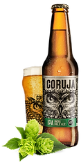 Coruja.png