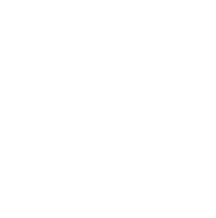 circle pattern-1.png