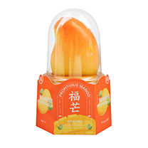 Frozen Mango Flavour Ice Cream