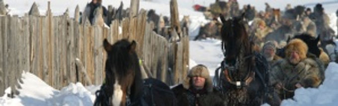 Her kommer hesteekvipasjene inn til åpningen av martnan et tidligere år