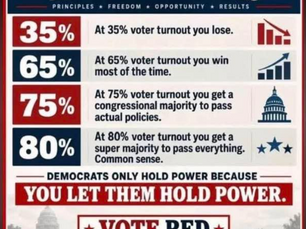 Why your vote counts