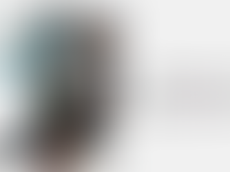 Enterprise Network Agents