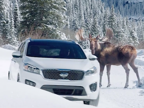 El Super Bowl 2015 y los autos
