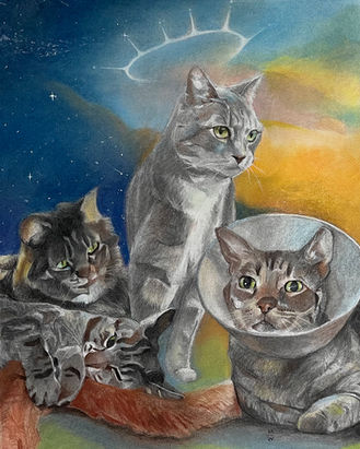 Cat's Portrait