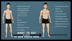 How Much Should I Eat Per Day To Gain Muscle Mass?