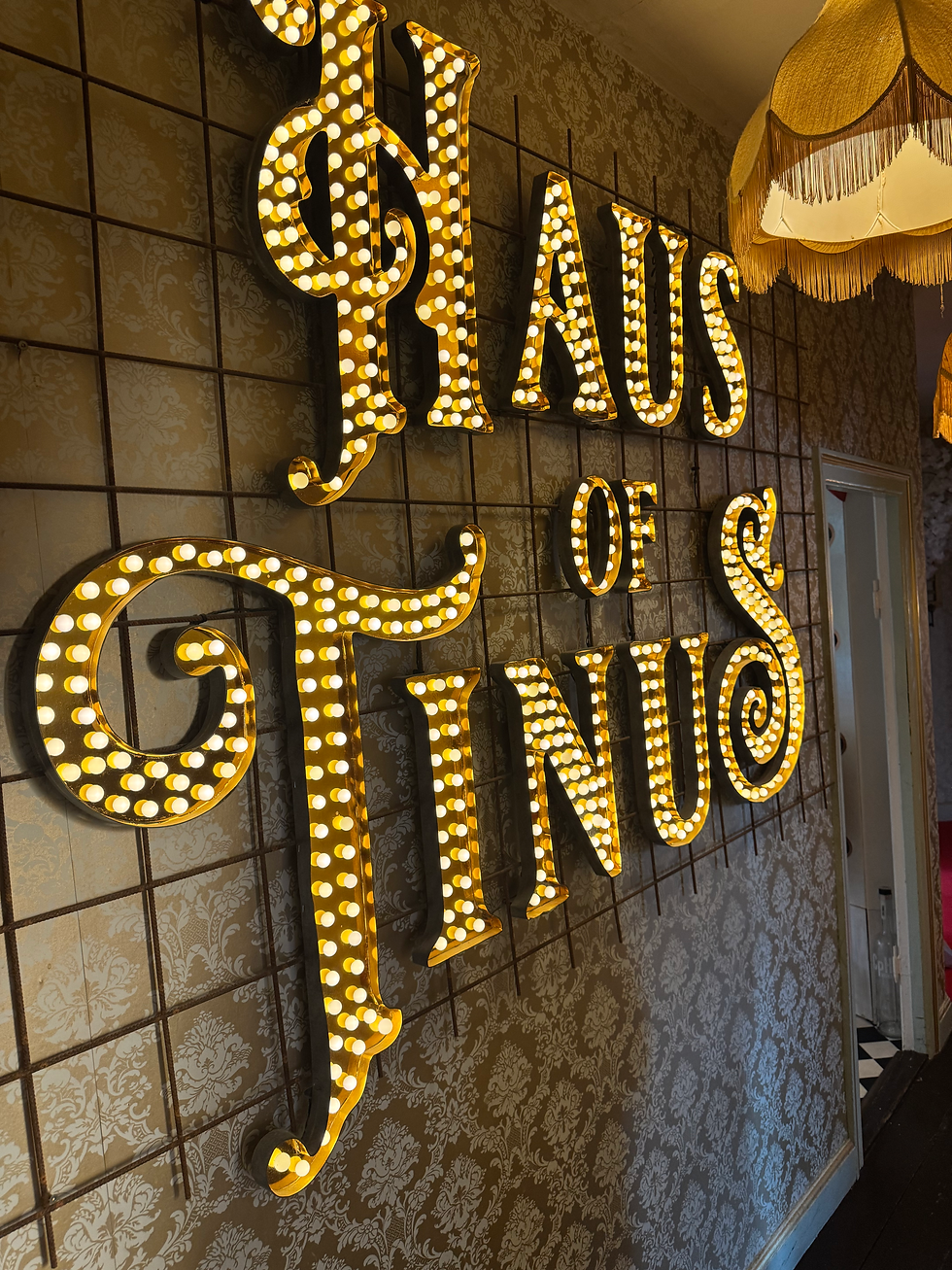 RUNDVISNING I HAUS OF TINUS