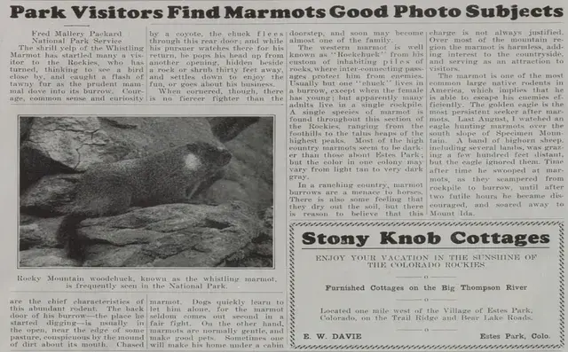 Newspaper featuring an article about marmots as photo subjects. Includes a black-and-white image of a marmot on rocks and ad for Stony Knob Cottages.
