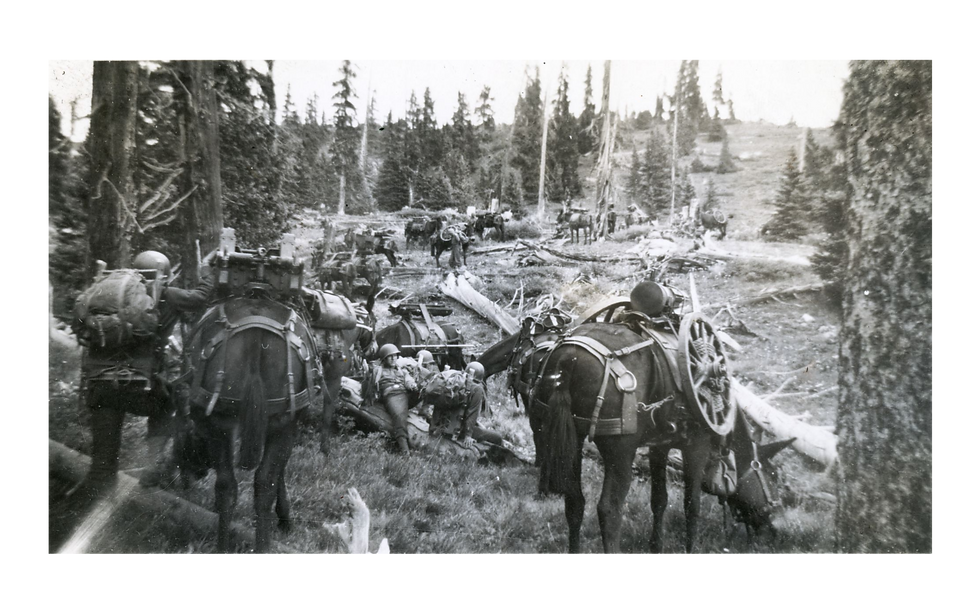 Soldiers with gear on mules trek through a forested area with fallen logs and trees. The scene appears tense and historical.