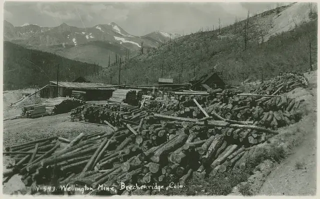 Logs stacked near wooden buildings at Wellington Mine, Breckenridge, Colo. Mountainous backdrop under cloudy sky; vintage black-and-white.