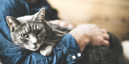 Chat visite à domicile