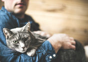 Why Do Cats' Urine Foam? Exploring the Mystery Behind this Uncommon Behavior