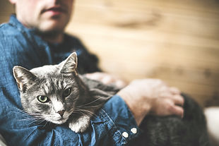 猫を抱く男性