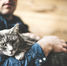 Why nutrition is key to your furry companion achieving optimum health, Part 1