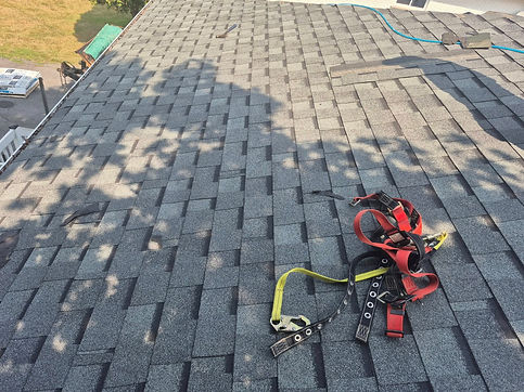 roof3.jpg