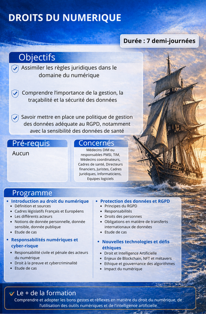 DROITS DU NUMERIQUE.png