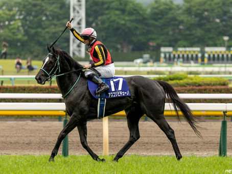 Ascoli Piceno to Deauville: Japan’s mile ace targets the Prix Jacques le Marois
