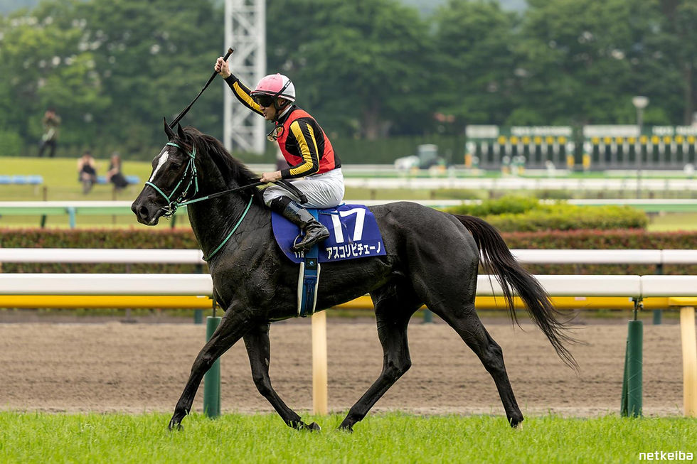 Ascoli Piceno and Christophe Lemaire return victorious after a remarkable victory in the G1 Victoria Mile - picture from netkeiba.com