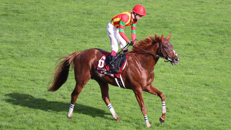 Byzantine Dream Prix de l'Arc de Triomphe