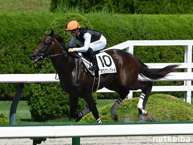 Yuga Kawada sits motionless aboard Magna Victor - picture from netkeiba.com