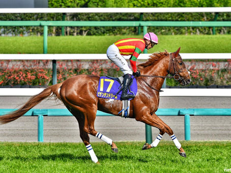 Byzantine Dream’s Arc Bid Begins with Prix Foy Test