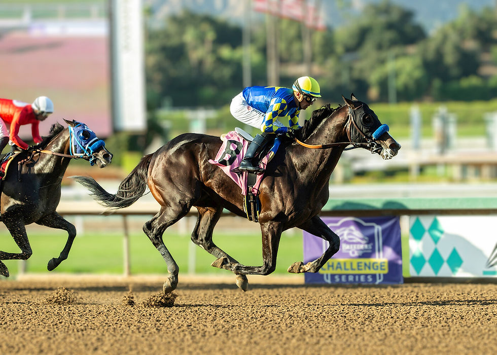 Imagination is current favourite for next week's race - picture from Benoit Photo