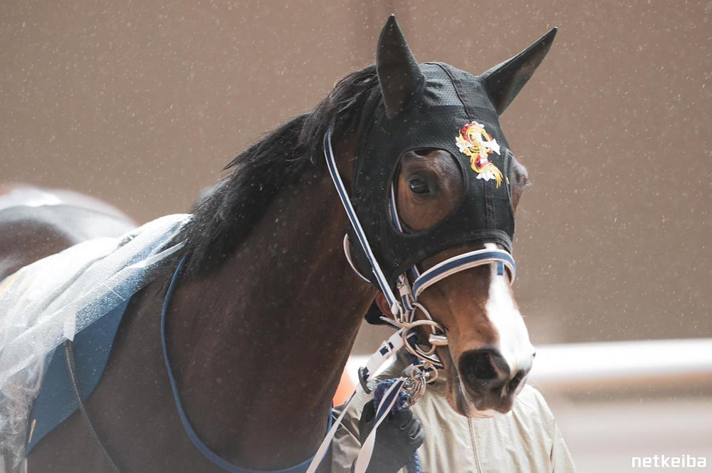 Shono Racing The Fast Lane: Sprinters and Shuka Sho Hopefuls Share the Spotlight ...