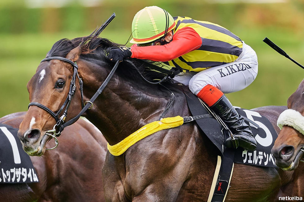 A highly consistent horse but likely to find Sunday's contest too much. Picture - https://en.netkeiba.com/db/horse/horse_photo_detail.html?horse_id=2020103060&photo_id=104615