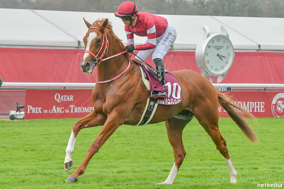 Shin Emperor and Ryusei Sakai at Longchamp last year - picture from netkeiba.com