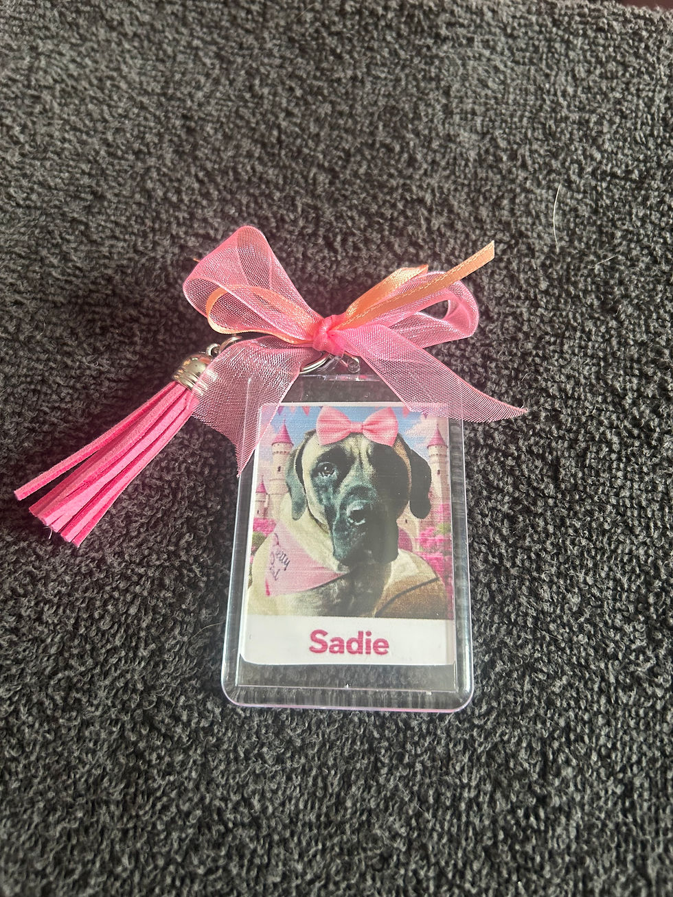 Thumbnail: Tanks Paw-sonal Key Chains
