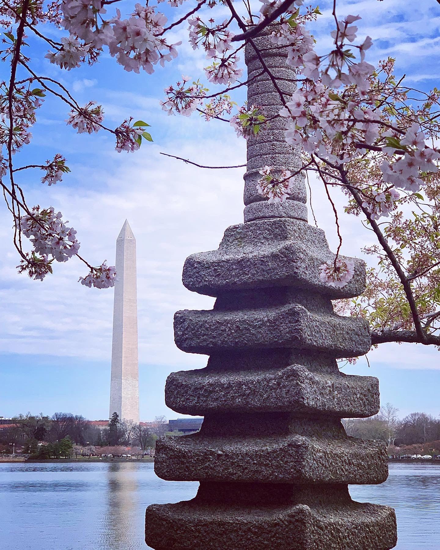 DC Tidal Basin - Two Monuments
