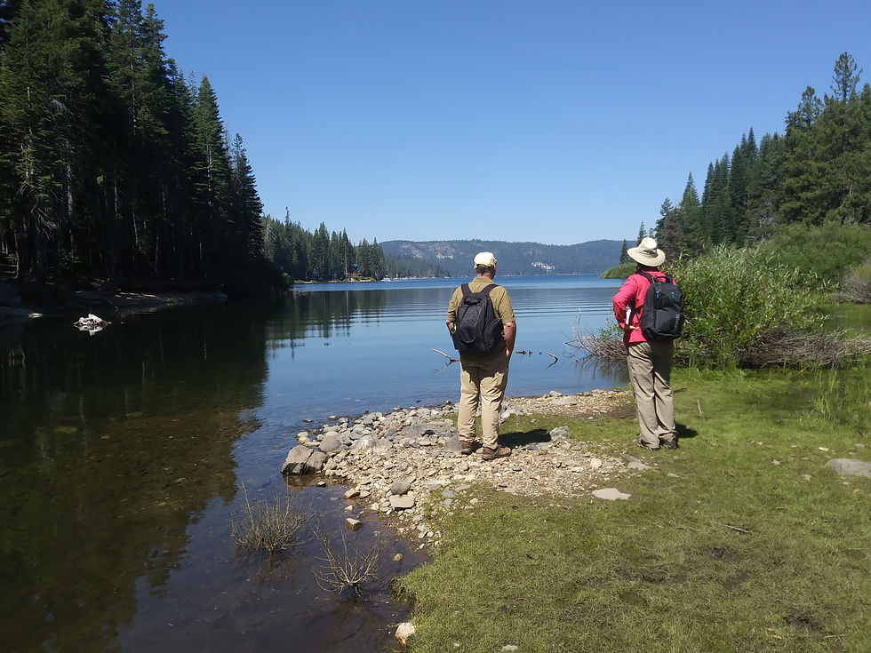 Nature study and bird watching
