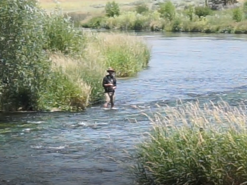 Fishing Hat Creek Wild Trout stream