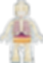 44e1c709ddf82048e115a74b18542c96.png