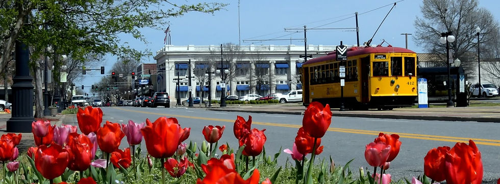 trolly and city hall.jpg