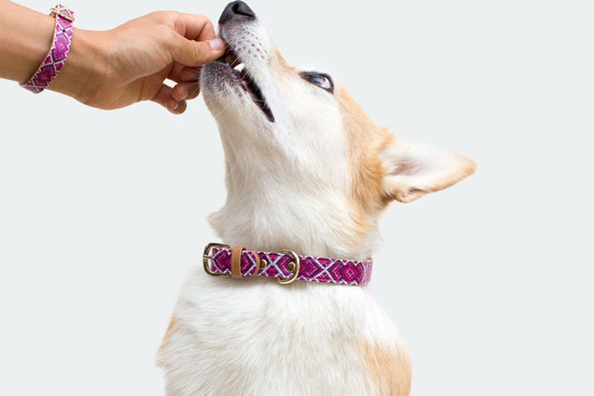 Hayvan İlaçları- Veteriner Eczanesi, Hayvan Eczanesi. Veterinerlik Fakültesi yakınında