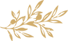 ss.png