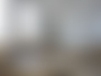 Webinar meeting February 2021