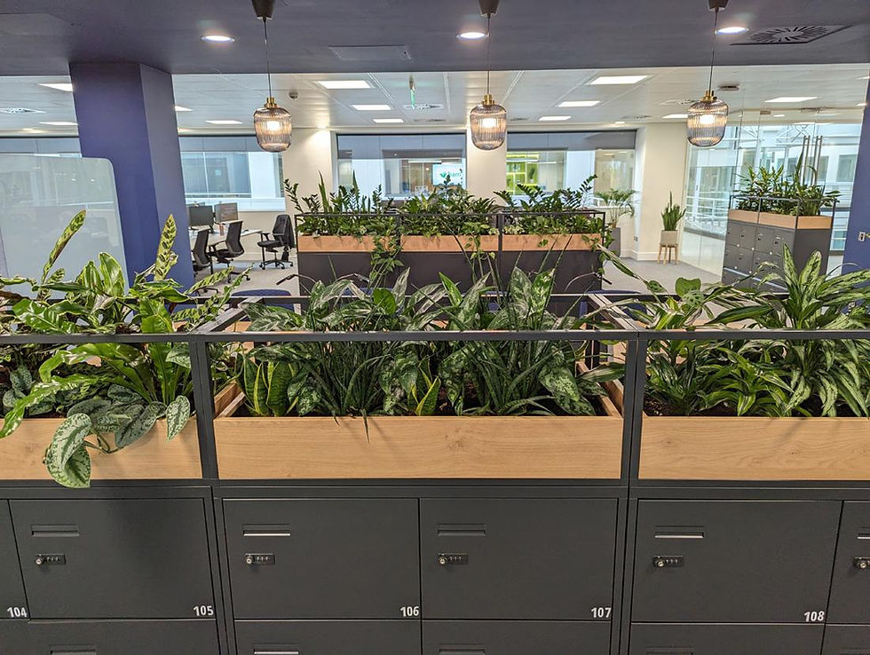 Why Fake Plants Fall Flat in the Workplace