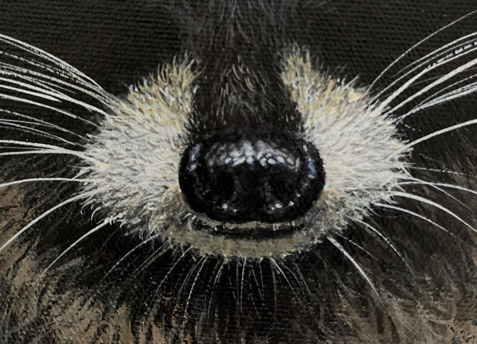 Miniature : BRIAN ✨VENDU ✨