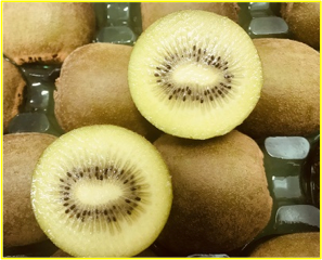 Gold Clamshell Kiwis (6-8 Kiwis)